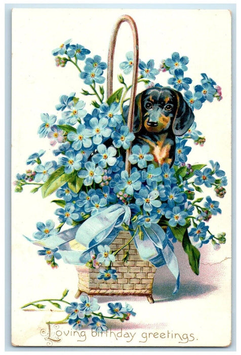 c1910's Birthday Greetings Dachshund Dog And Pansies Flowers Tuck's Postcard