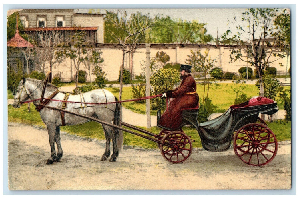 c1910 Showing Private Horse Carriage from Russia Antique Unposted Postcard