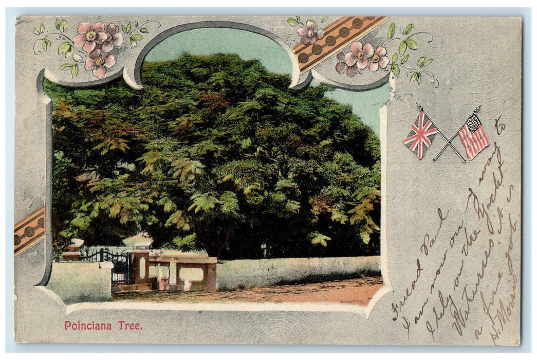 1906 British American Flag Poinciana Tree Estville NJ Antique Postcard