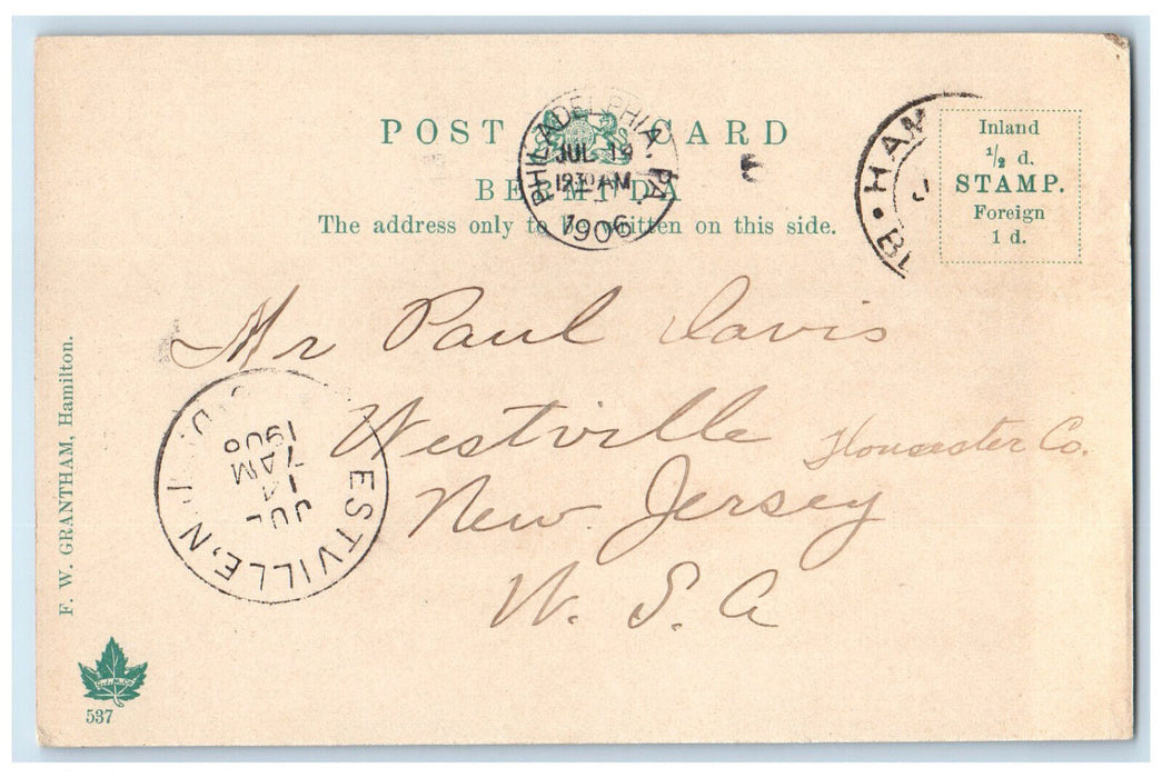 1906 British American Flag Poinciana Tree Estville NJ Antique Postcard
