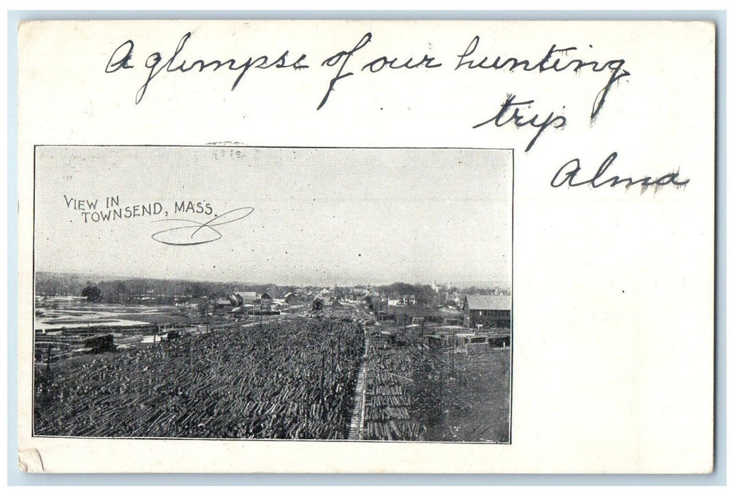 1905 View In Townsend Massachusetts MA, Logging Posted Antique Postcard