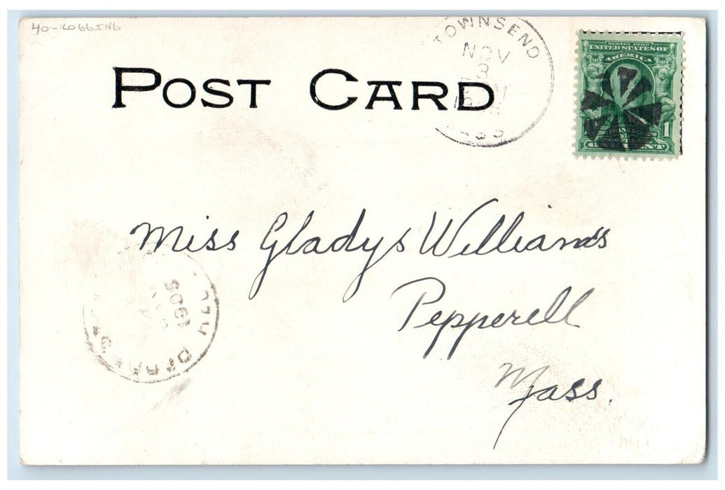 1905 View In Townsend Massachusetts MA, Logging Posted Antique Postcard