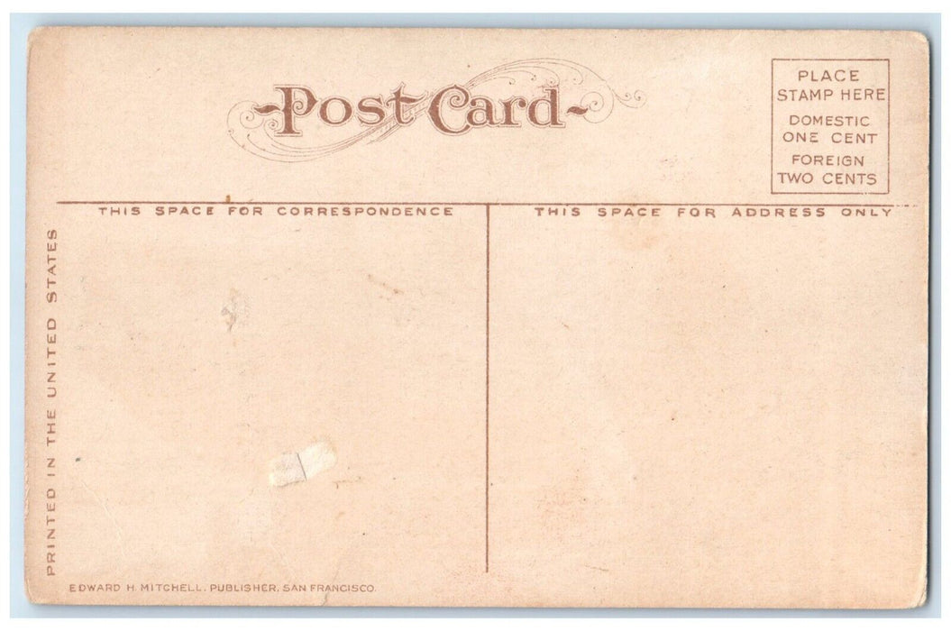 c1910 United States Submarine Boats Porpoise Shark Buffalo New York NY Postcard