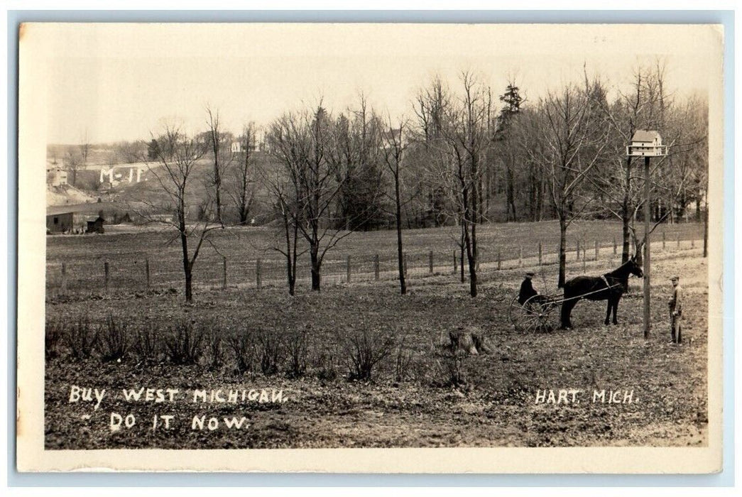 c1918 Birdhouse Horse Cart Field Farm View Hart MI RPPC Photo Unposted Postcard