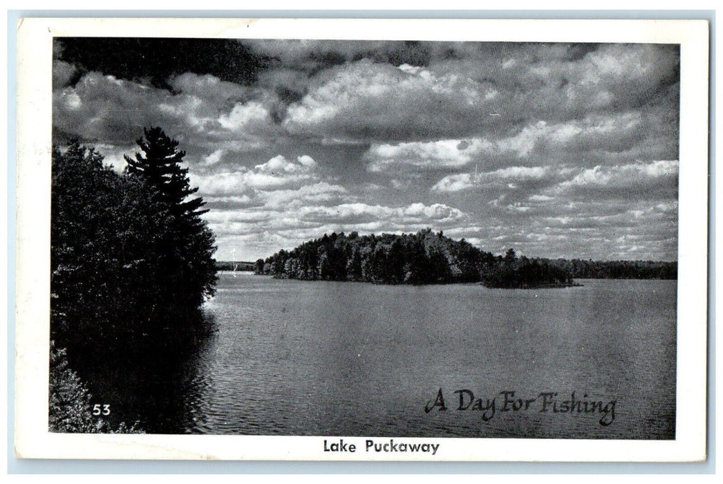 1954 Lake Puckaway Day Fishing River Lake Trees Mountain Wisconsin Wi Postcard