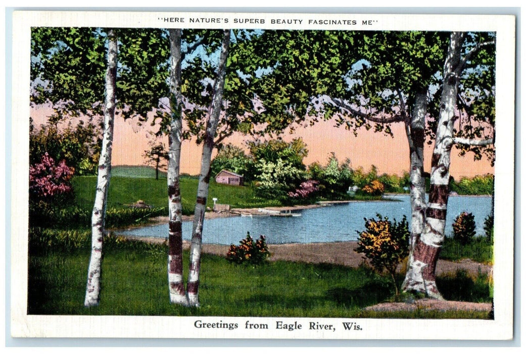 1942 Nature Superb Beauty Greetings From Eagle River Wisconsin Vintage Postcard