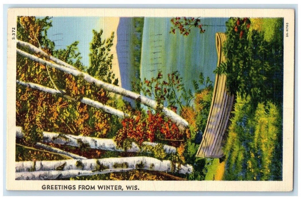 1940 Greetings From Canoe Boat Trees Mountain River Winter Wisconsin WI Postcard