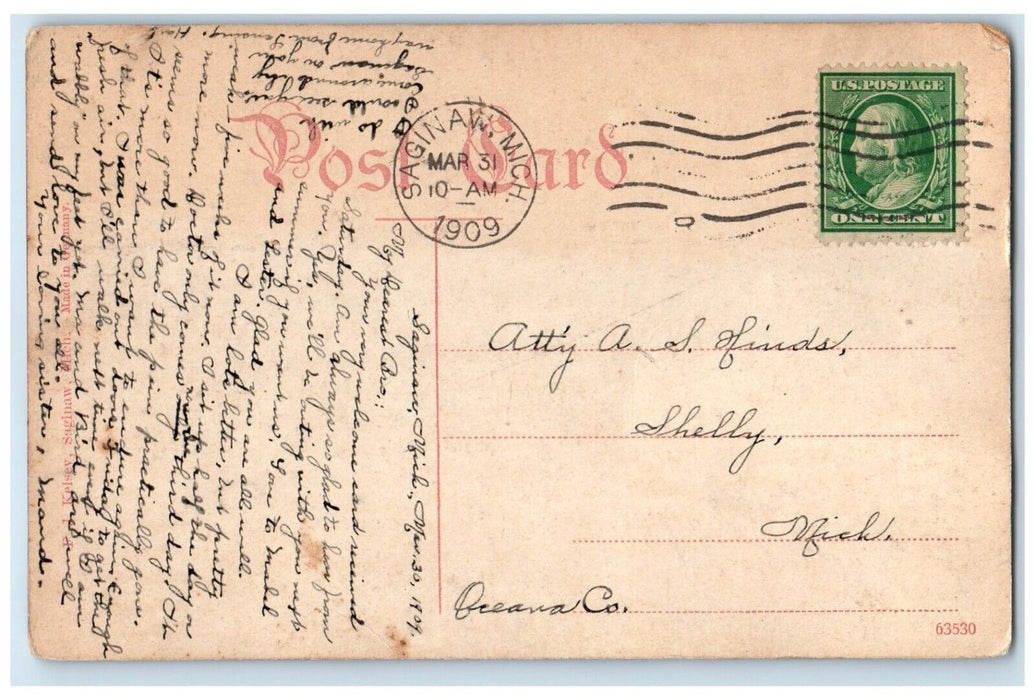 1909 Scenic View Court Street Bridge Saginaw Michigan Vintage Antique Postcard
