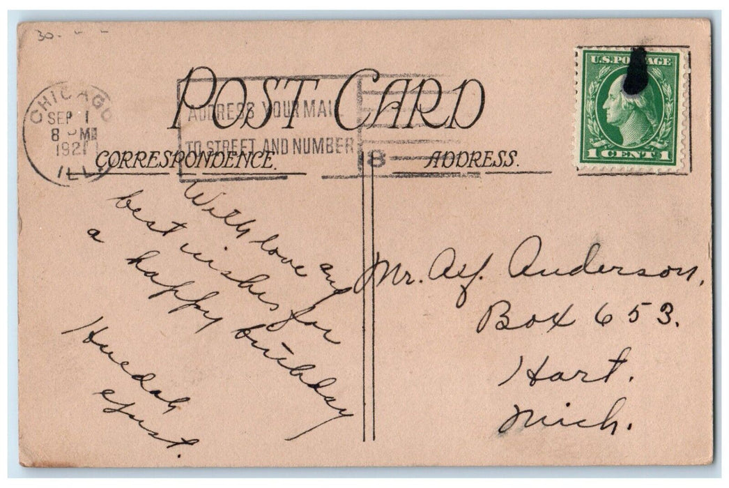 1921 Happy Birthday Message Trees Chicago Illinois IL Posted Antique Postcard