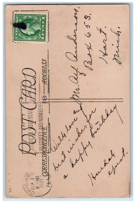 1921 Happy Birthday Message Trees Chicago Illinois IL Posted Antique Postcard