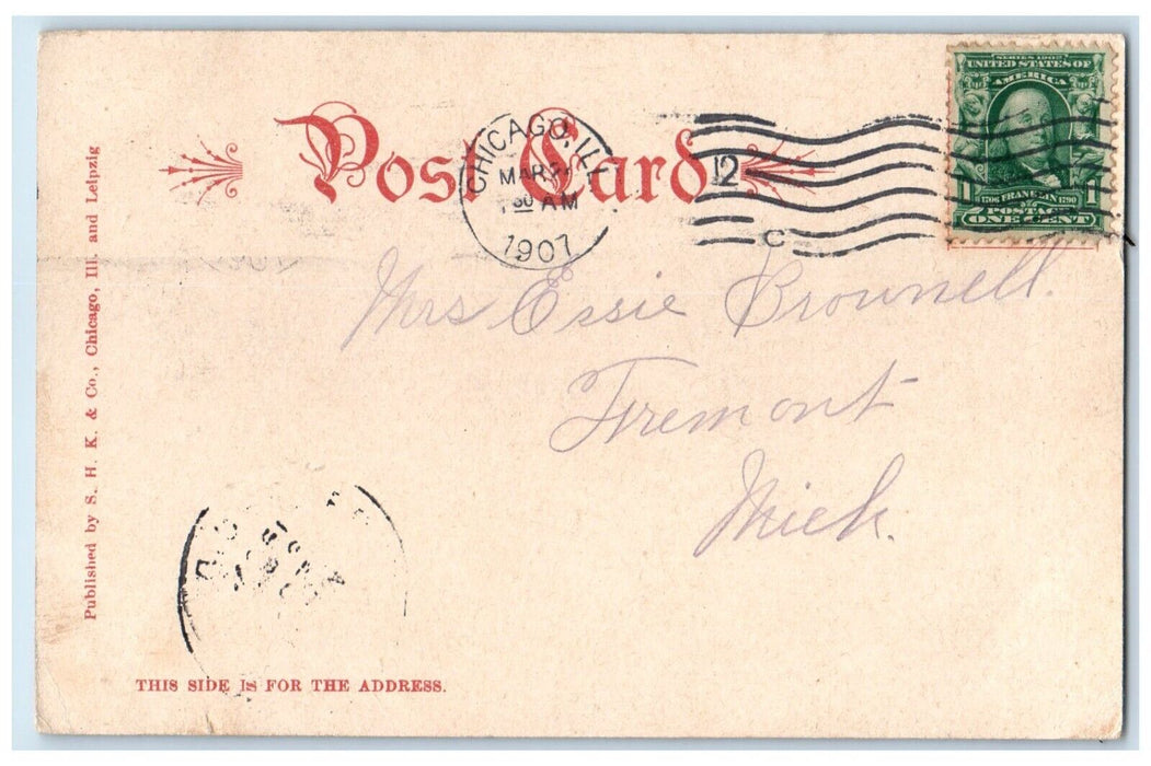 1907 Busiest Store World SH Knox Co Store Chicago Illinois IL Unposted Postcard