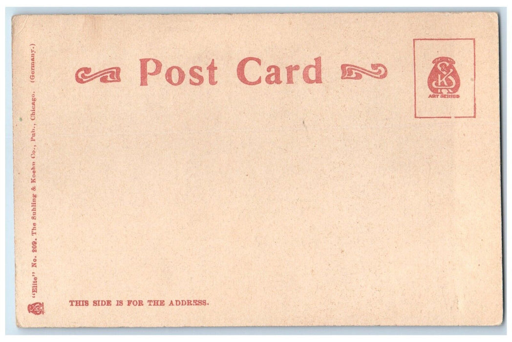 c1905 Aerial View Elevated Railroad Union Loop Chicago Illinois Vintage Postcard