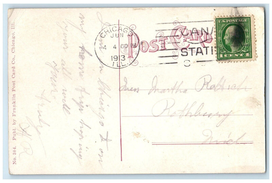 1913 Garfield Park Chicago Lagoon Goose Scene Chicago Illinois IL Postcard