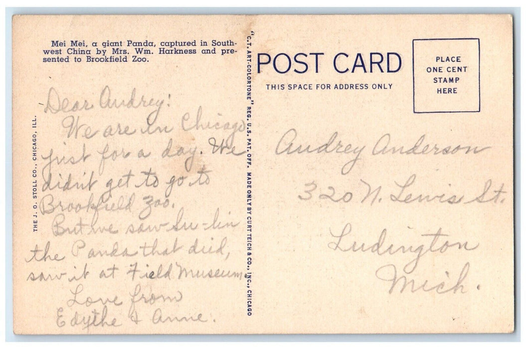 1940 Giant Panda Basket Brookfield Zoo Chicago Illinois Antique Vintage Postcard