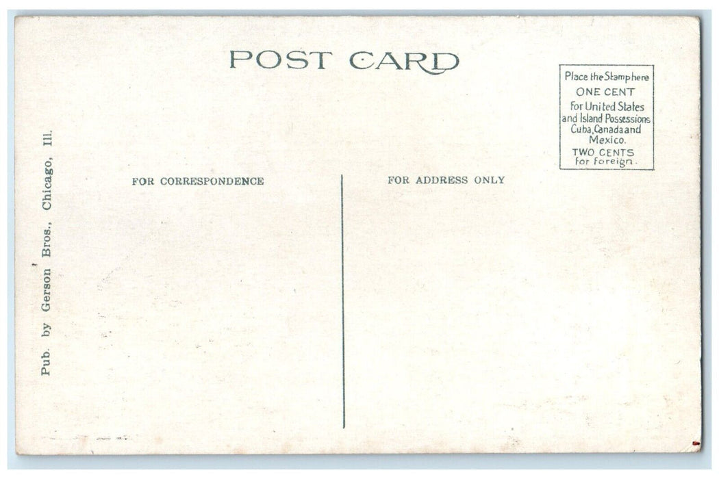 1910 St Joseph Hospital Garfield Ave Burling Street Chicago Illinois IL Postcard