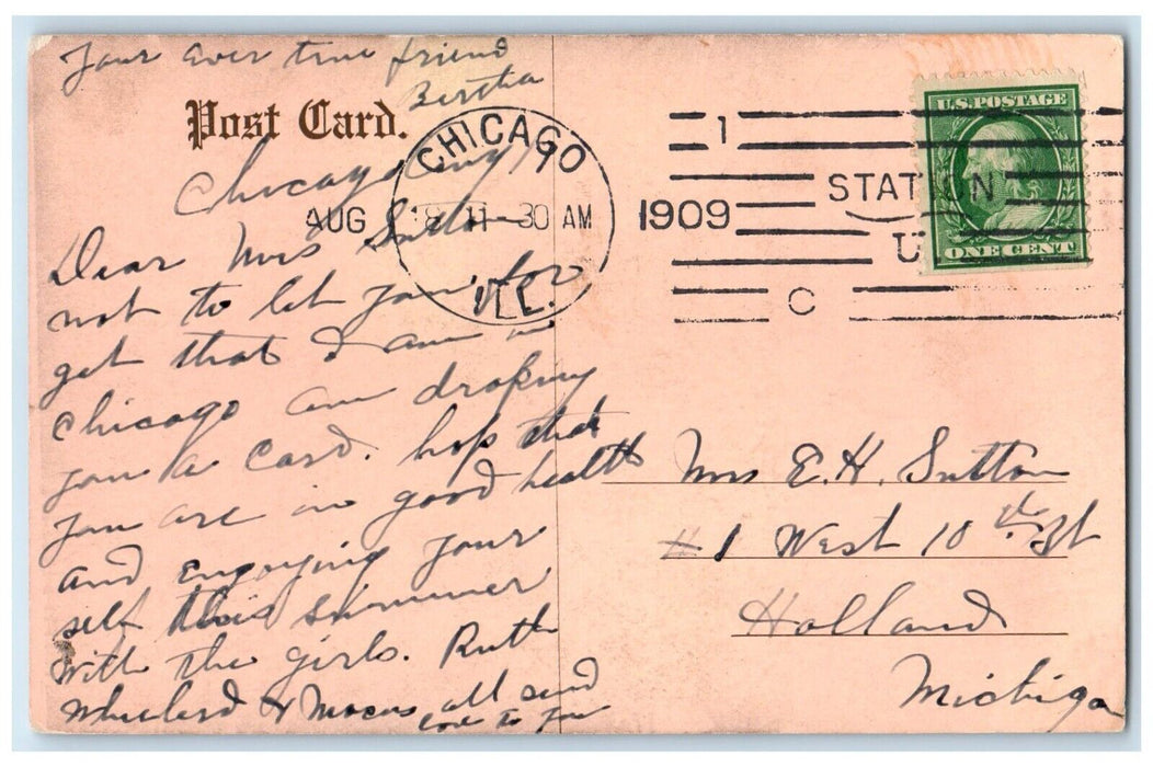 1909 Lincoln Park Zoo Chicago Illinois IL, Bear On The Tree Antique Postcard