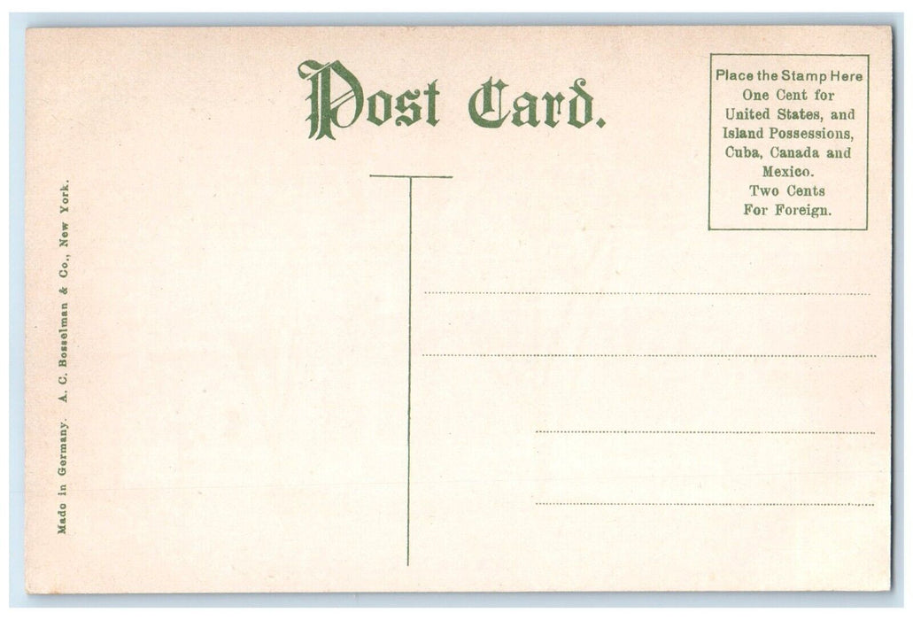 c1910 First Presbyterian Church Chapel Exterior Road Rockford Illinois Postcard