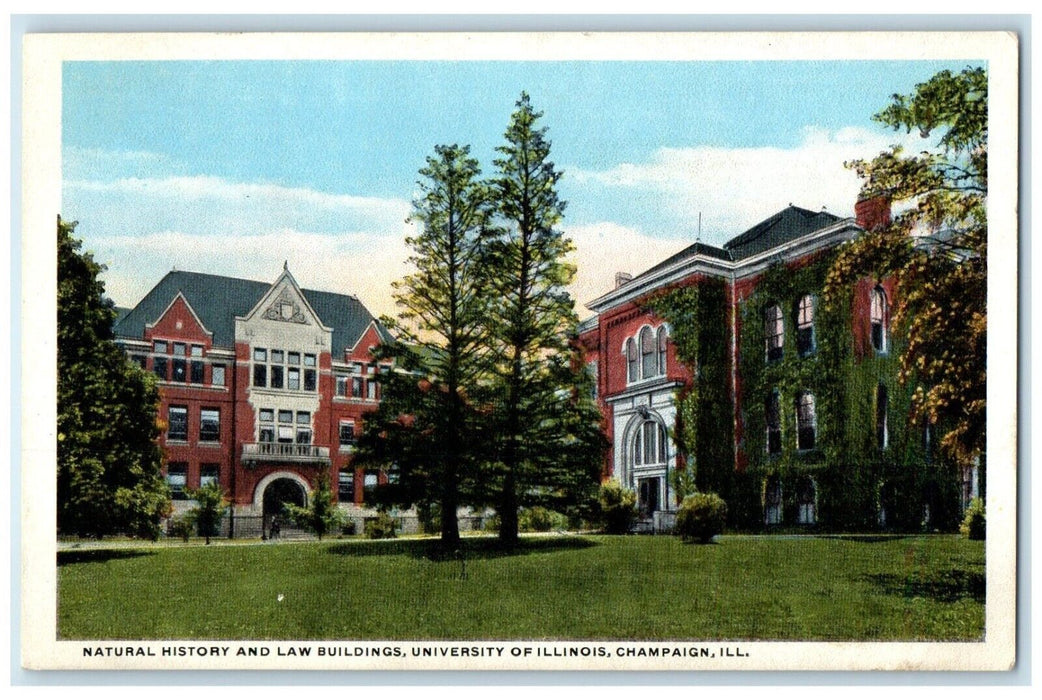 c1920 Natural History Law Buildings University Illinois Champaign ILL Postcard