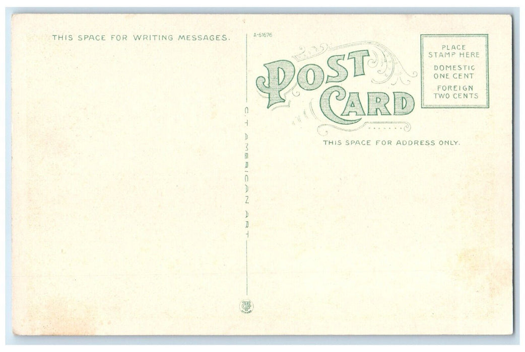 c1920 Natural History Law Buildings University Illinois Champaign ILL Postcard