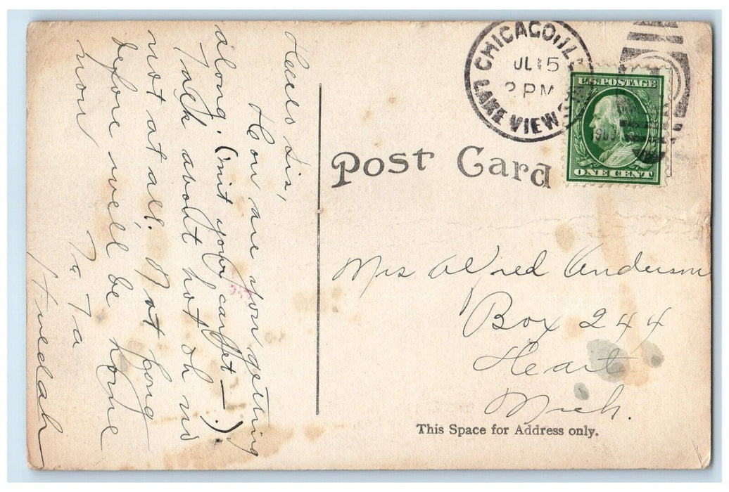 1909 Deer Fawn Lincoln Park Zoo Grass Field Chicago Illinois IL Vintage Postcard