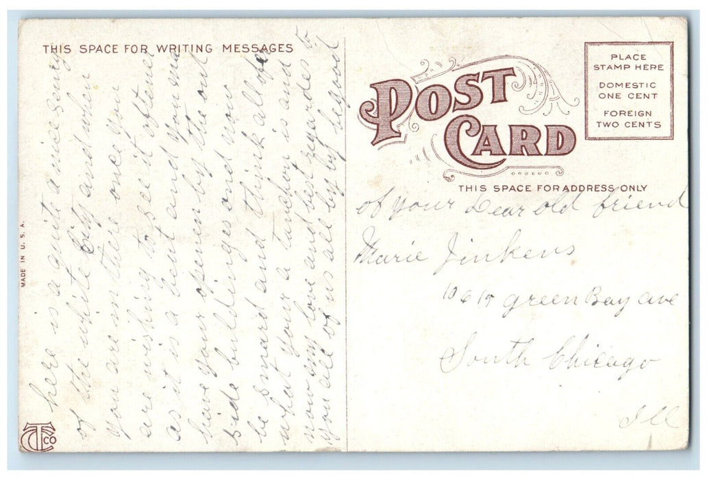 c1910's Chute The Chutes And Basin White City Chicago Illinois IL Postcard