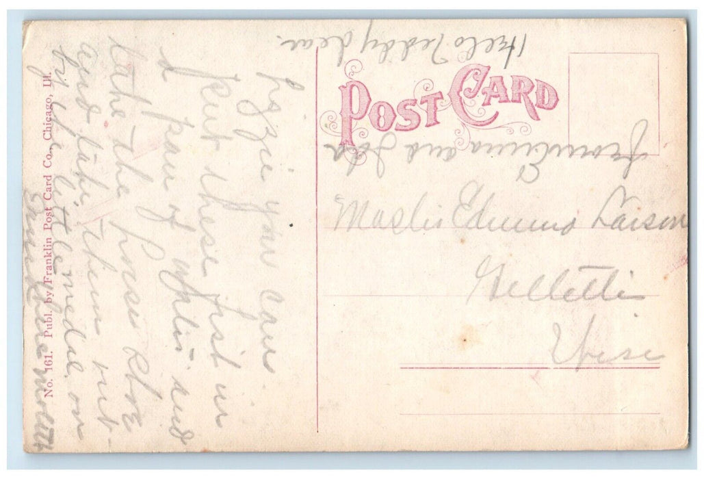 c1910's Alexian Brothers Hospital Building Chicago Illinois IL Antique Postcard