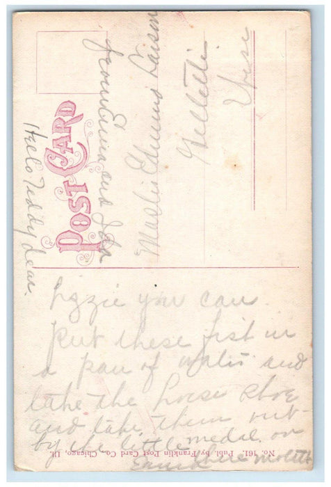 c1910's Alexian Brothers Hospital Building Chicago Illinois IL Antique Postcard