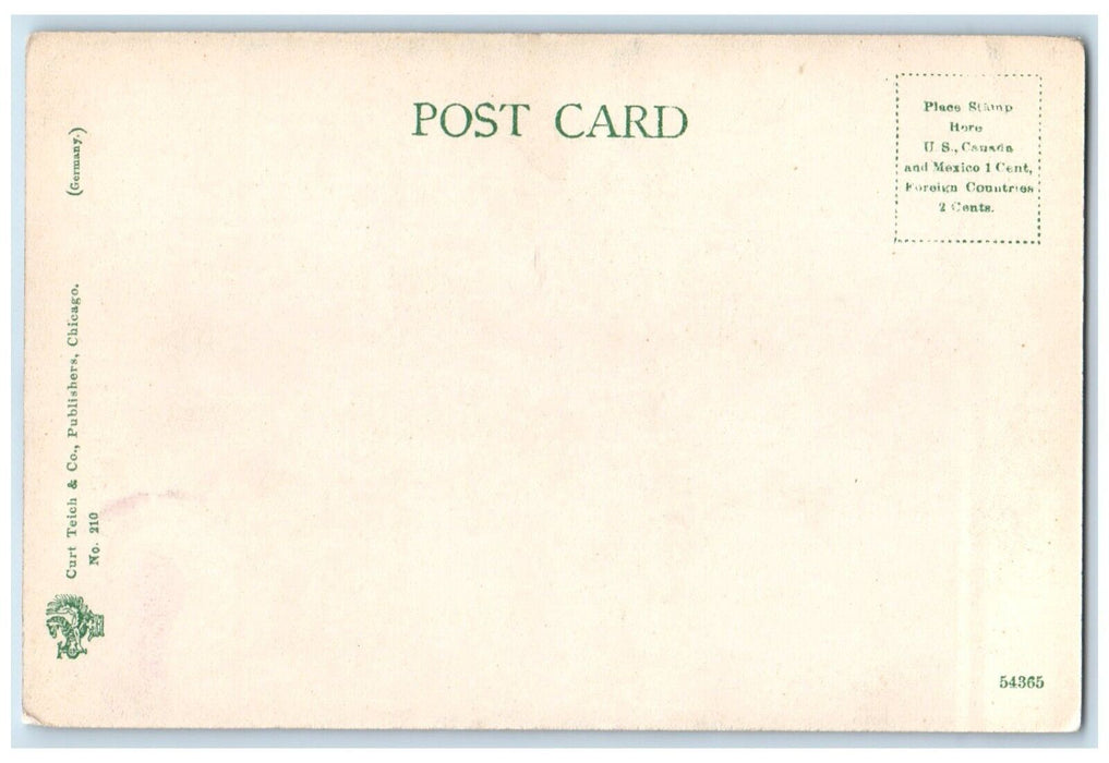 c1905 Cook County Hospital Building Street View Chicago Illinois IL Postcard