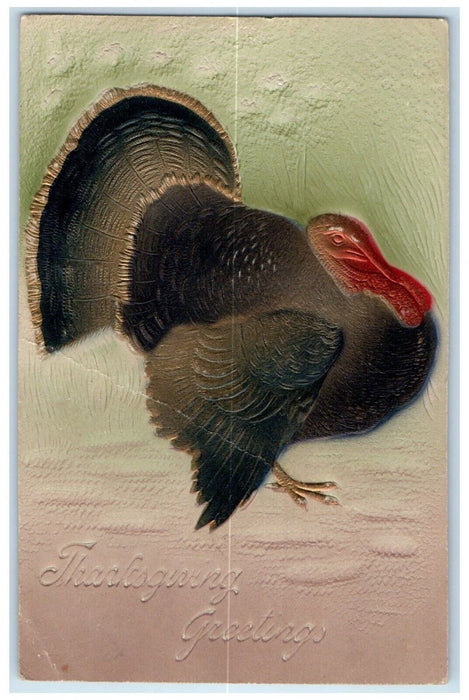 1908 Thanksgiving Greetings Turkey Airbrushed Embossed New York NY Postcard