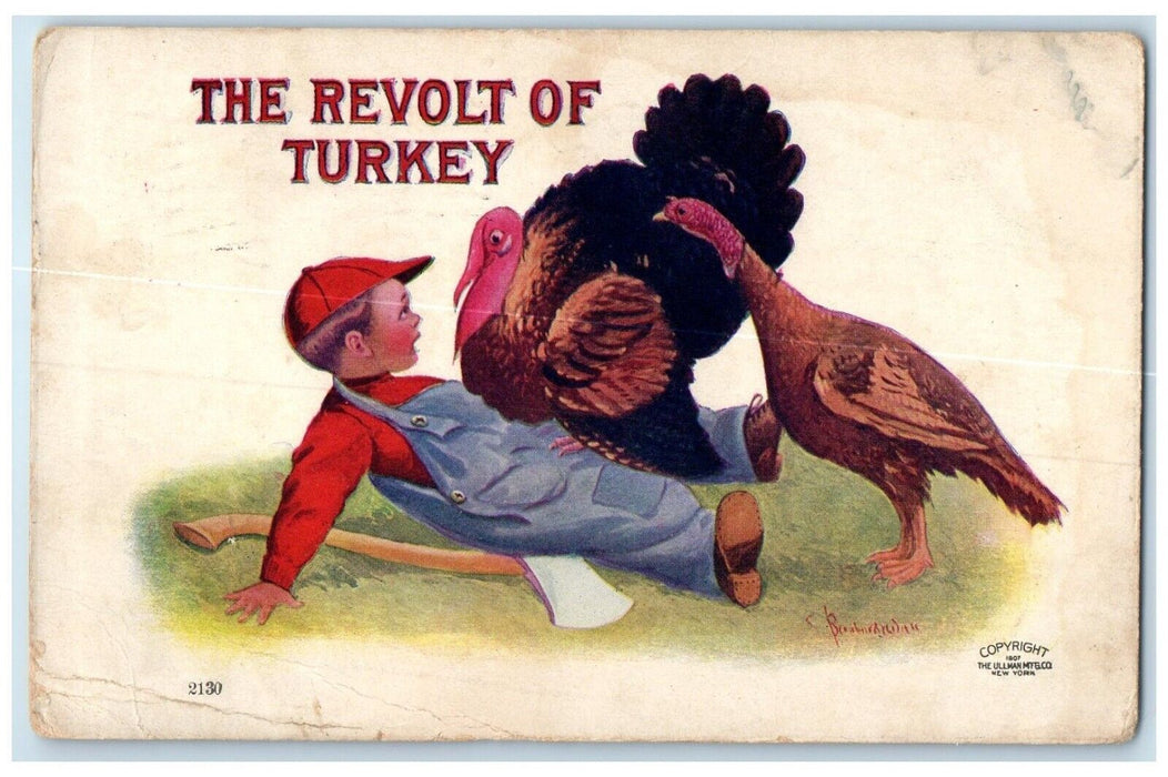 1907 Thanksgiving The Revolt Of Turkey Boy Hatchet Reading PA Antique Postcard