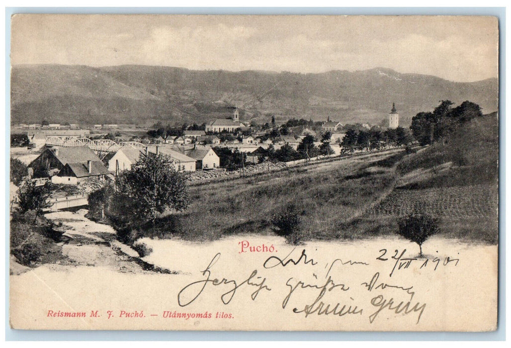 1901 View of Pucho Mountains Buildings Bridge Reismann M.F. Antique Postcard