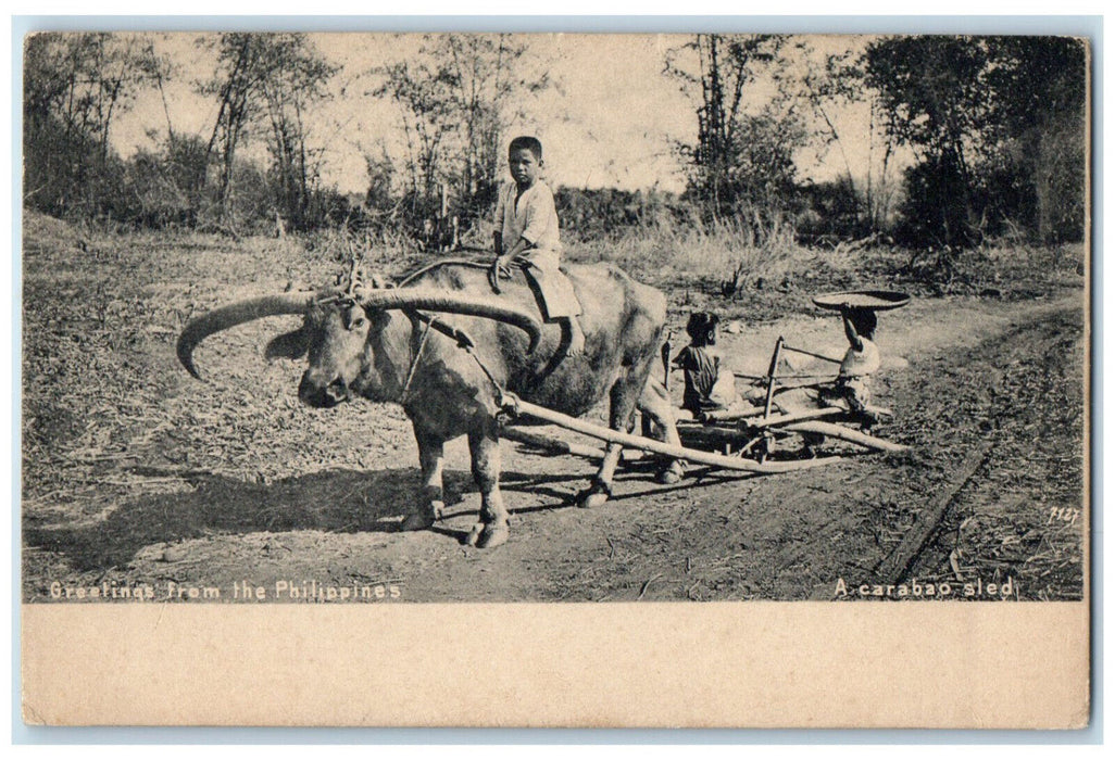 c1905 Kid Riding a Carabao Sled Greetings from the Philippines Postcard