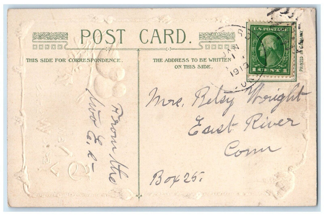 1913 New Year John Winsch Song Birds Holly Berries Artist Signed Posted Postcard