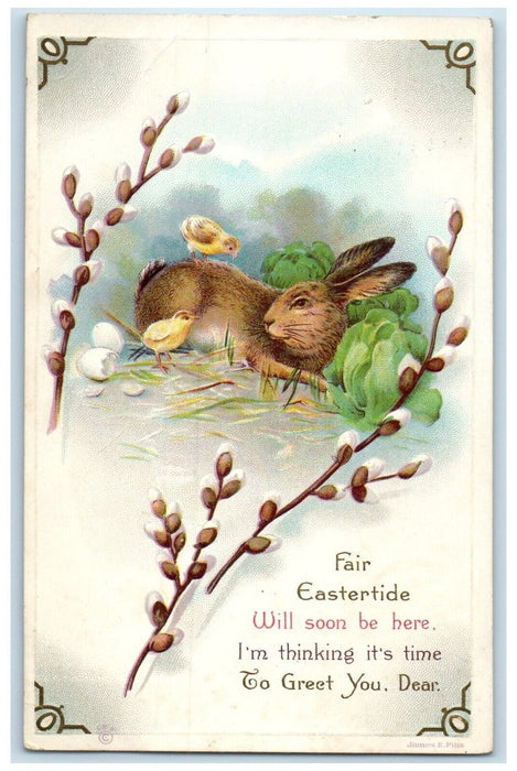 1914 Easter Bunny Rabbit Hatched Egg Chicks Pipe Berry Embossed Antique Postcard