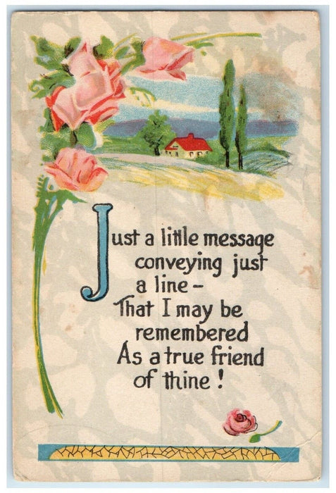 Orleans VT, Roses Flowers Message Orleans Parcel Post Co. Advertising Postcard