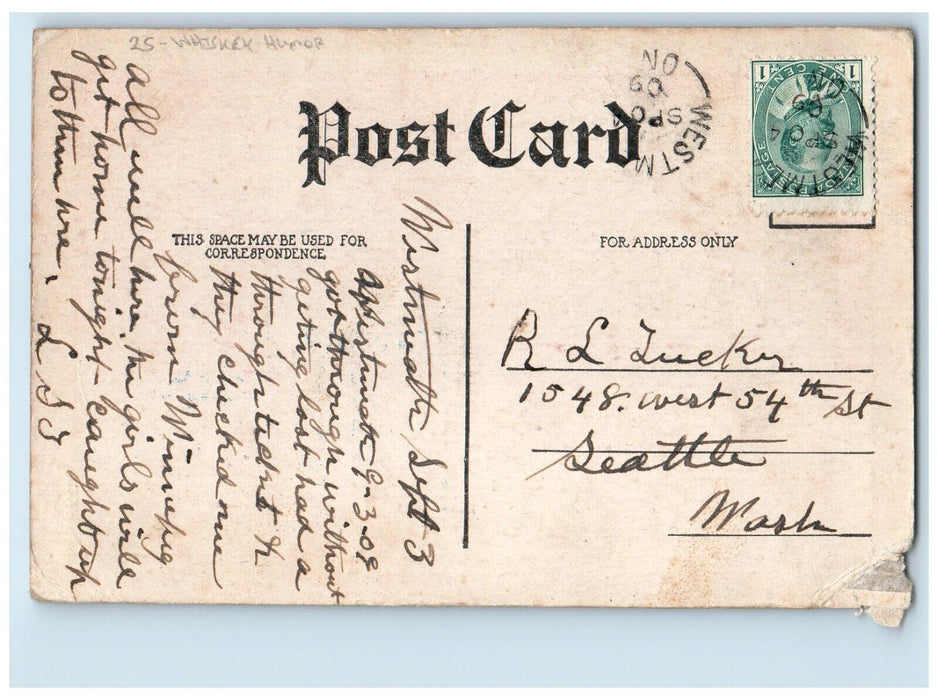 c1910's Drunk Man Snake To Cure The Whiskey Habit Humor Canada Antique Postcard