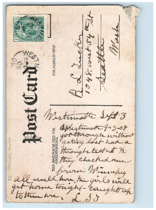c1910's Drunk Man Snake To Cure The Whiskey Habit Humor Canada Antique Postcard
