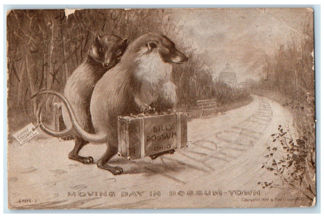 1909 Billy Possum Ohio Moving Day In Possum Town Washington DC Postcard