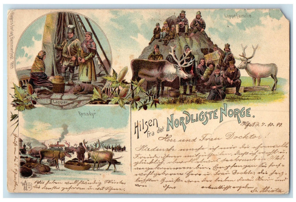 1899 Rensdyr Greetings from Northernmost Norway Multiview Reindeer Postcard