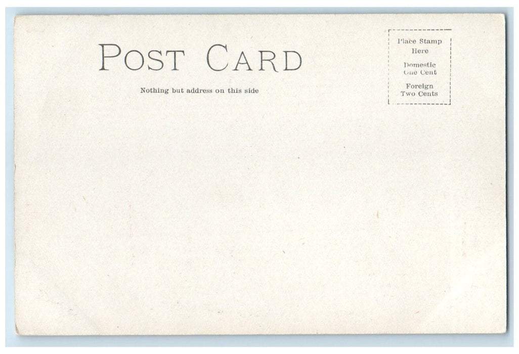 c1905 Public Library Building Scene Street Fort Wayne Indiana IN Postcard