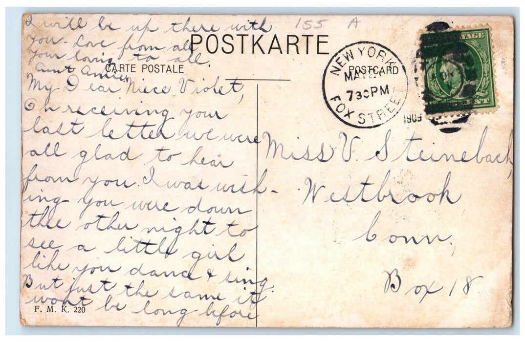 1909 Pretty Little Girl Holding Birds Dove New York NY Posted Antique Postcard