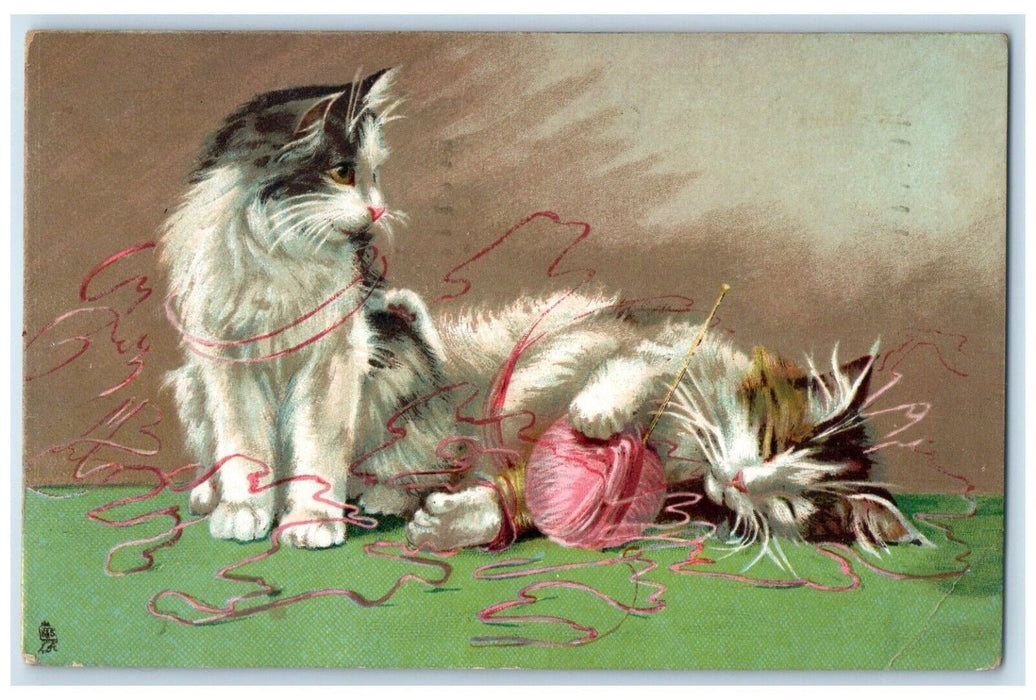 1908 Cute Cat Kittens St. Thomas Ontario Canada Tuck's Posted Antique Postcard