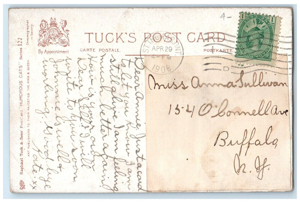 1908 Cute Cat Kittens St. Thomas Ontario Canada Tuck's Posted Antique Postcard