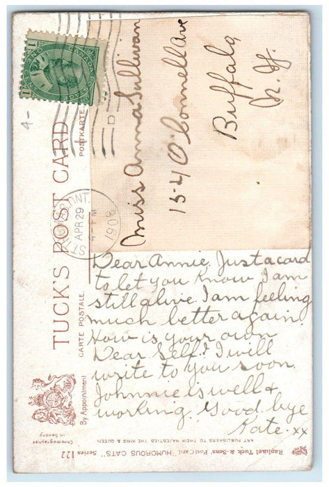 1908 Cute Cat Kittens St. Thomas Ontario Canada Tuck's Posted Antique Postcard