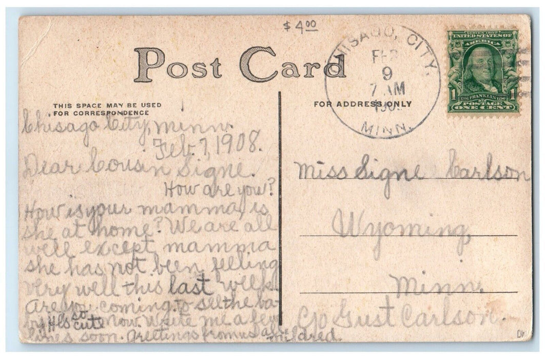 1908 A Brace Of Setters Dogs In Field Chisago City Minnesota MN Antique Postcard