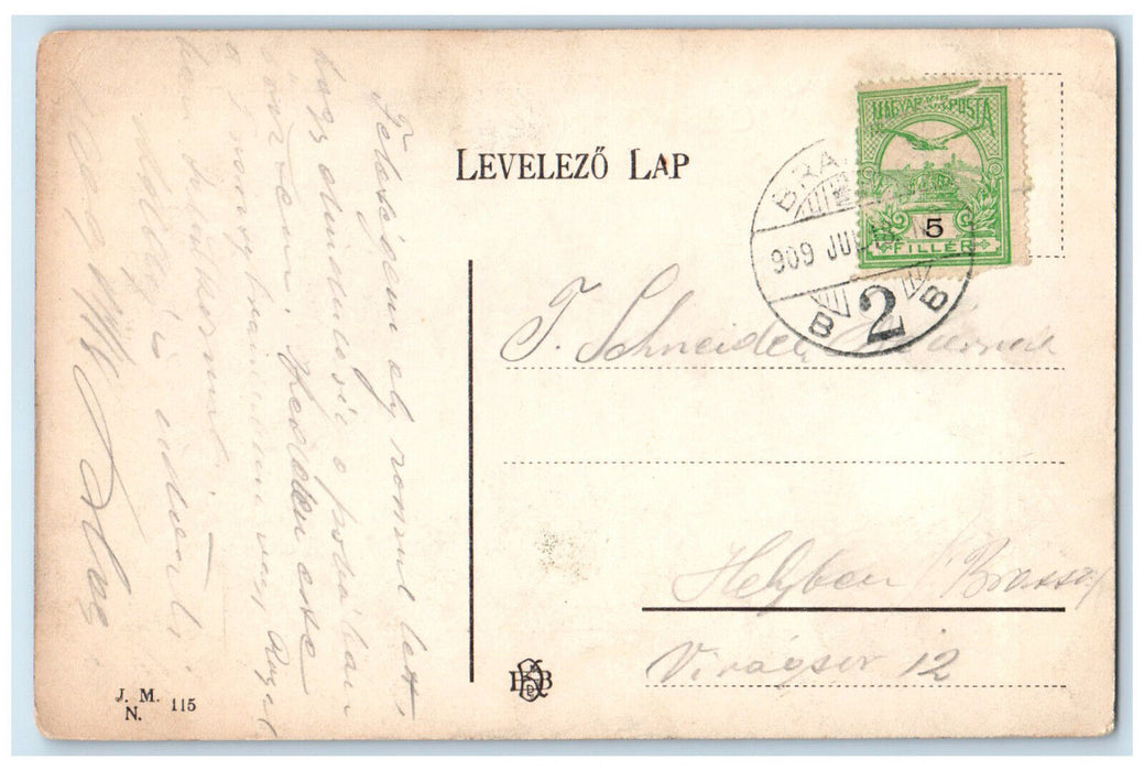 1909 Rudolfring Rezso-Korut Kronstadt-Brasso (Brasov) Romania Postcard