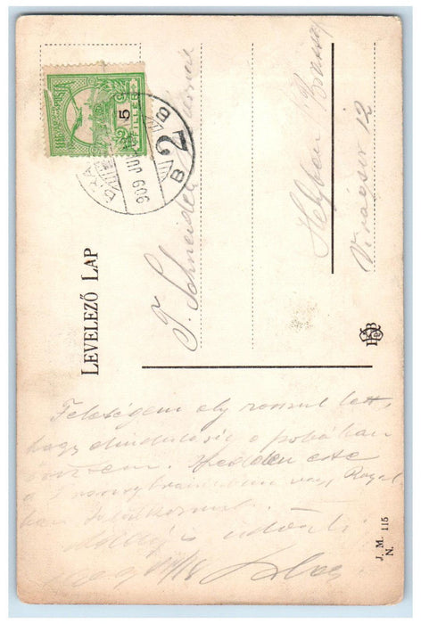1909 Rudolfring Rezso-Korut Kronstadt-Brasso (Brasov) Romania Postcard
