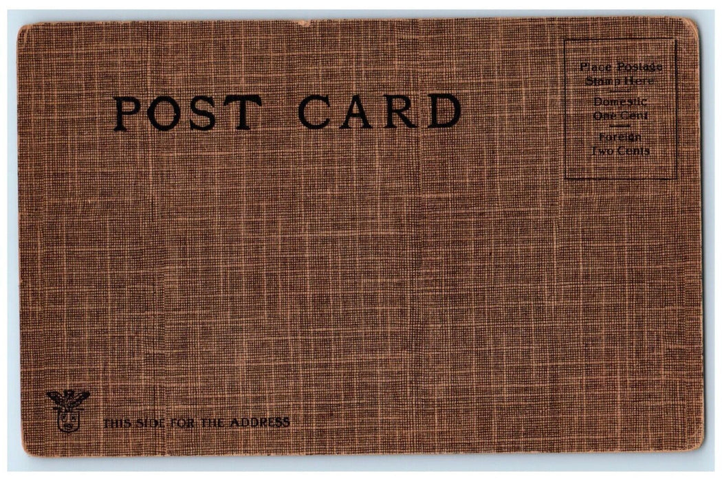 c1905 Valentine Hearts Fencing Pretty Girl Unposted Antique Postcard