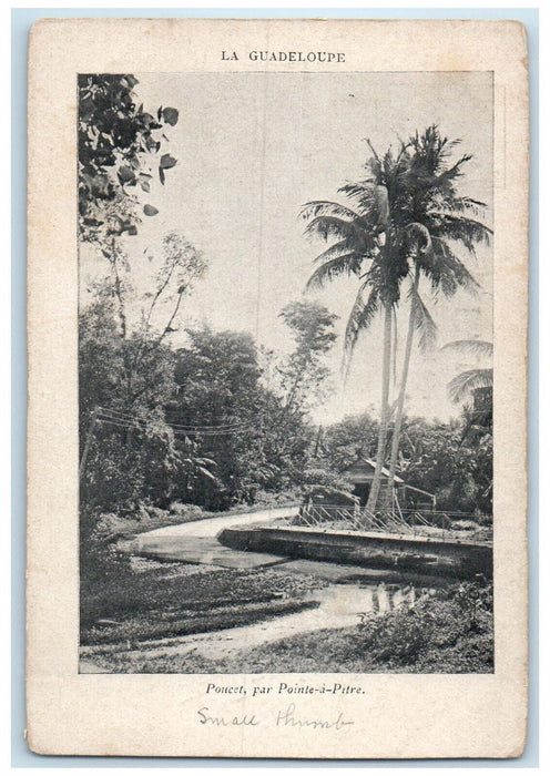 c1905 Road View Poucet By Pointé-à-Pitre Guadeloupe France Postcard