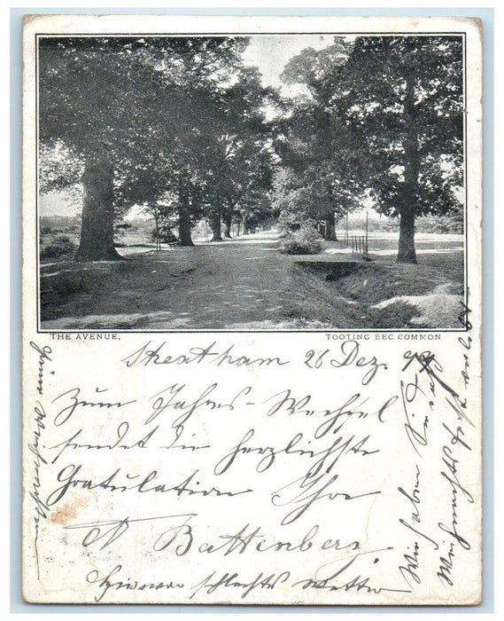 1899 Tooting Bec Common The Avenue London England Antique Posted Postcard